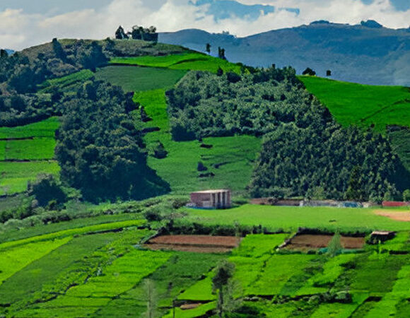 Ooty & Mysore 3Night 4Days
