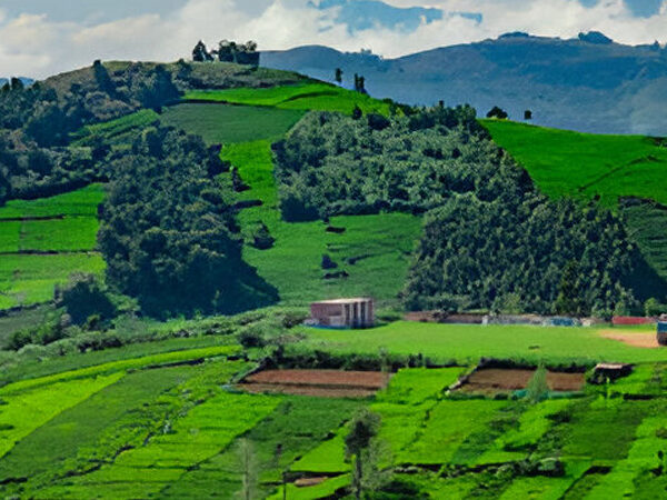 Special South 5Nights & 6Days