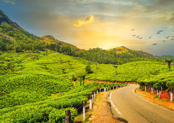 Discover Kerala: A Complete Guide to God’s Own Country | Kerala Tour Packages & Top Destinations